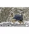 B230946_NV_1.webp