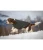 B231154_FS_3.webp
