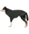 B231154_FS.webp