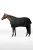 EK58W_694_01.webp