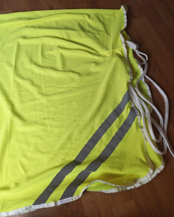IMG_20260110_201053.jpg