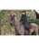 B653592_S_9.webp