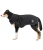 B231210_S.webp
