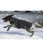B231210_S_2.webp