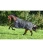 B422670_CF_4.webp
