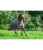 B422670_CF_6.webp