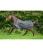 B422665_CF_4.webp