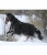 B422528_S_4.webp