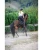 B414230_S_3.webp