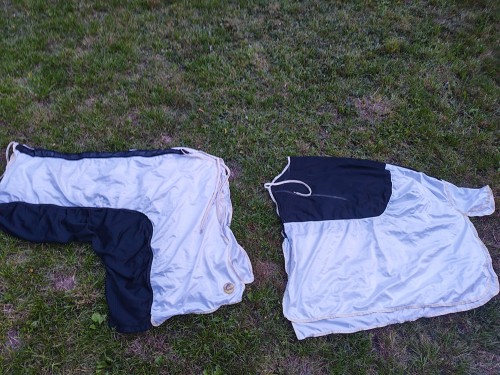 IMG_20260717_205734.jpg